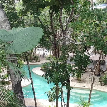 Jungle Oasis Studio: Beachside Retreat with Pool and Amenities